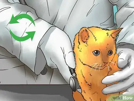 Image titled Prevent Kidney Disease in Cats Step 13