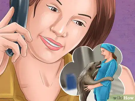 Image titled Adopt Out a Shy Dog Step 15