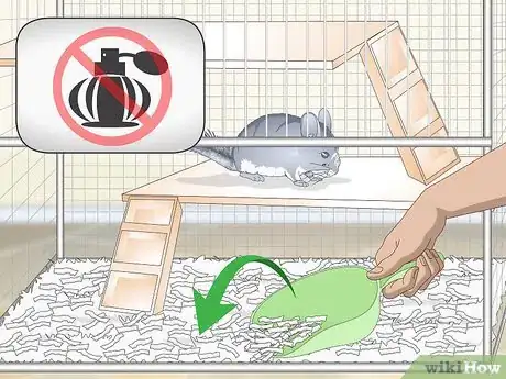 Image titled Avoid Poisoning a Chinchilla Step 2