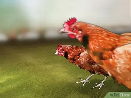 Image titled Control Lawn Weeds Step 12