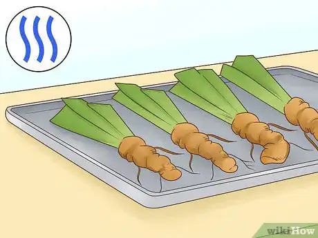 Image titled Grow Orris Root Step 12