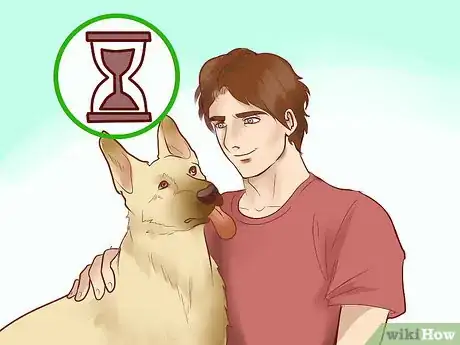 Image titled Adopt a Herding Dog Step 12