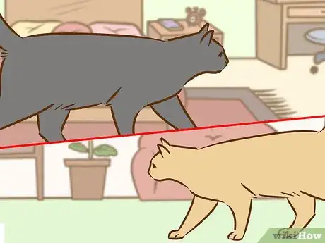 Image titled Referee Two Irritable Cats That Don't Get Along Step 11