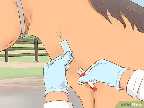 Image titled Draw a Horse's Blood Step 10