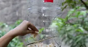 Build a Milk Jug Bird Feeder