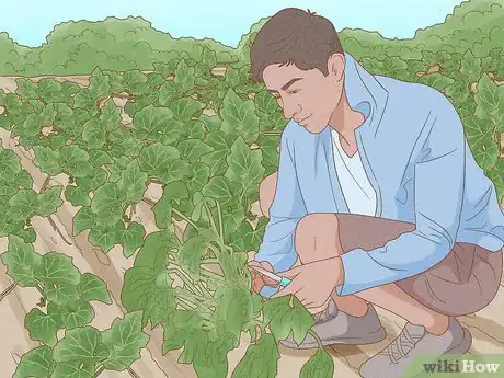 Image titled Become an Organic Farmer Step 2