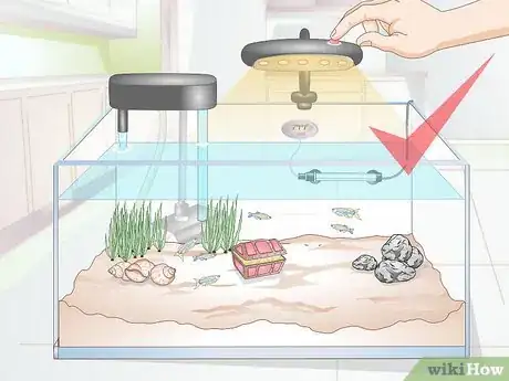 Image titled Set up a Community Fish Tank Step 10