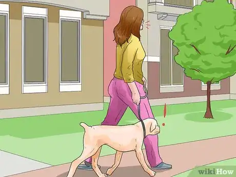 Image titled Walk Two Dogs Step 7