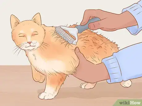 Image titled Make Daily Life Easier for a Mobility‐Impaired Cat Step 6