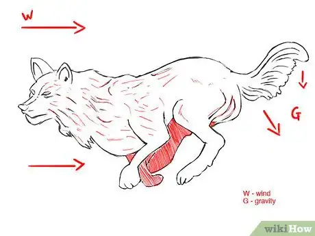 Image titled Draw fur details Step 5
