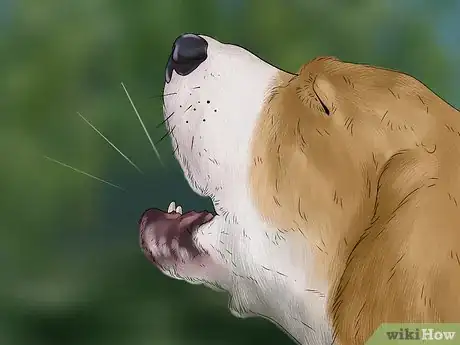 Image titled Stop a Puppy from Barking Step 6