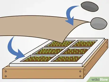 Image titled Stop a Ferret from Digging in Houseplants Step 7