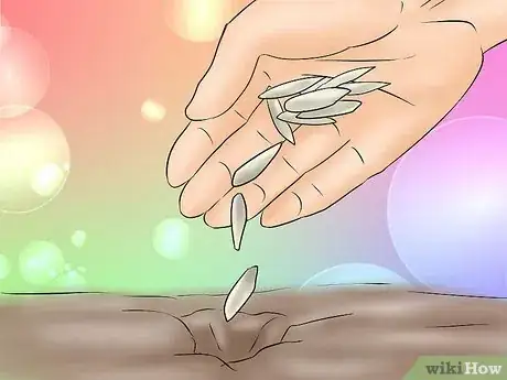 Image titled Plant a Tulip Poplar Tree Step 18