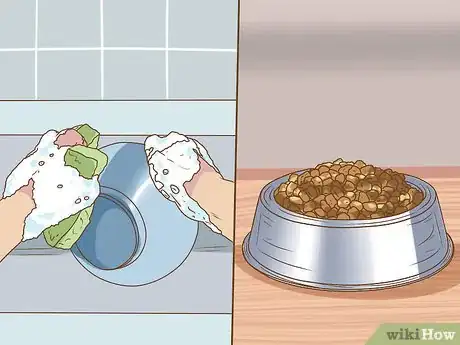 Image titled Clean a Chinchilla Cage Step 10