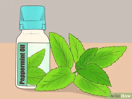 Image titled Use Herbs to Treat Bad Breath Step 1