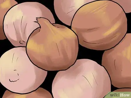 Image titled Grow Winter Onions Step 13