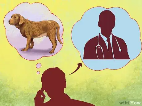 Image titled Treat Obesity in Labrador Retrievers Step 7