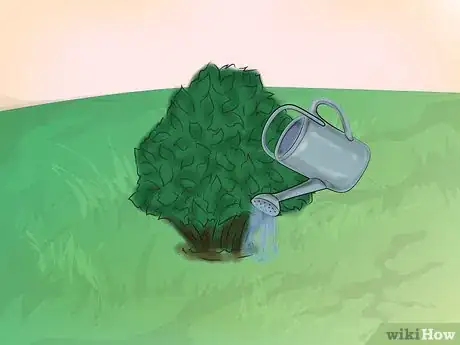 Image titled Get Rid of Downy Mildew in Your Plants Step 10