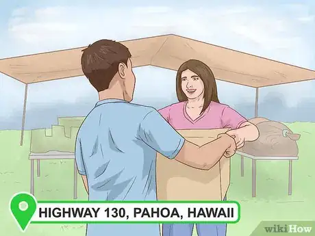 Image titled Help Victims of the Kilauea Volcano Eruptions Step 7