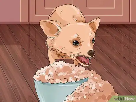Image titled Tell if a Dog Is Getting Food Aggression Step 1