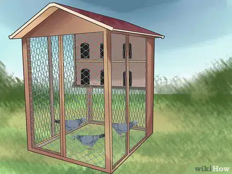 Image titled Tame Pigeons to Be out of Cage Permanently Step 6