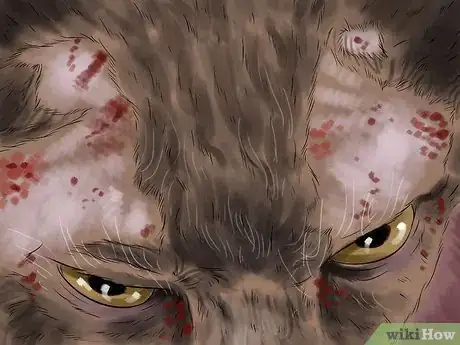 Image titled Know if Your Cat Needs Gluten‐Free Food Step 6