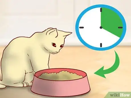 Image titled Get an Overweight Senior Cat to Lose Weight Step 2