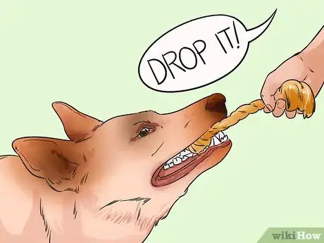 Image titled Keep Your Dog Comfortable Indoors Step 6