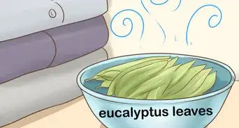 Get Rid of the Smell of Mothballs