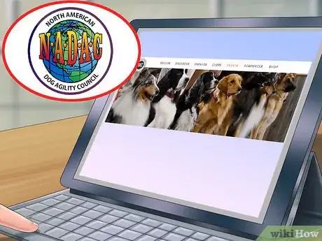 Image titled Enter a Dog in an Agility Trial Step 8