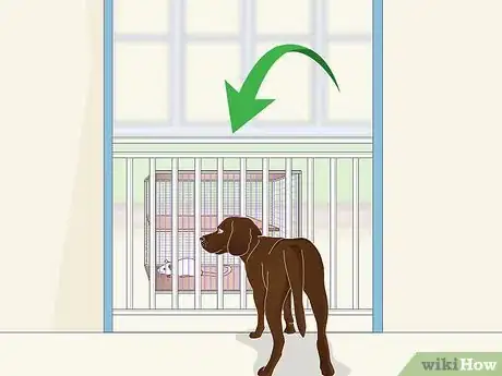 Image titled Keep Pet Rats Safe Around Other Pets Step 7