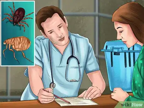 Image titled Prevent Ticks on Cats Step 1