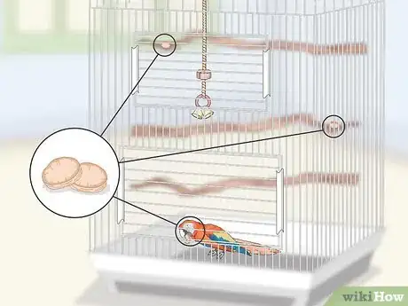 Image titled Set Up a Macaw Habitat Step 11