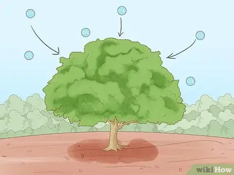 Image titled Plant Trees to Fight Climate Change Step 1