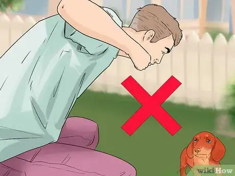 Image titled House Train Your Dog in Less than a Week Step 12