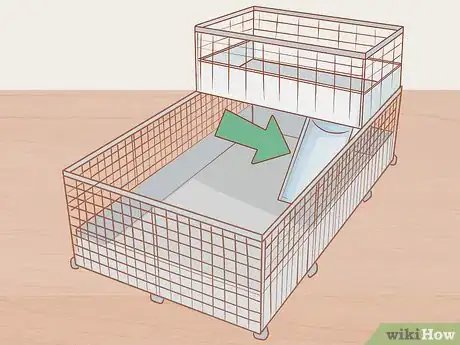 Image titled Care for a Crested Guinea Pig Step 4
