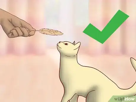 Image titled Choose Toys for a Senior Cat Step 3