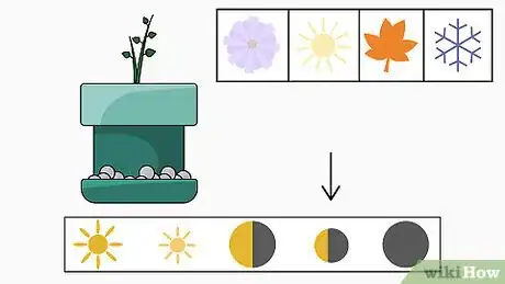Image titled Plant Bush Lily Step 17