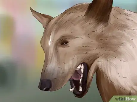 Image titled Tell if Your Dog Is Having a Medical Emergency Step 6