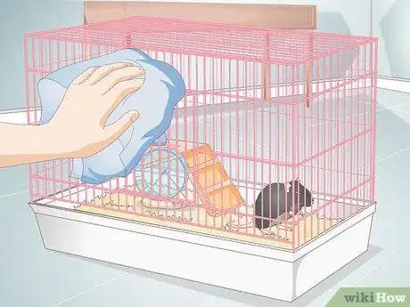 Image titled Treat Pinworms in Mice Step 5