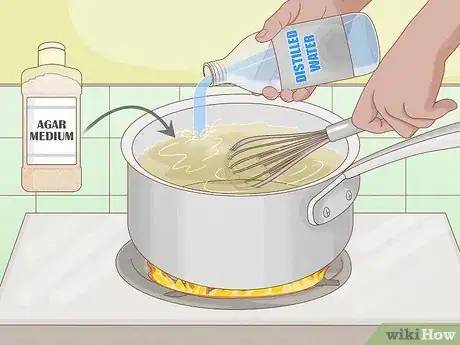 Image titled Grow Orchids from Seeds Step 2