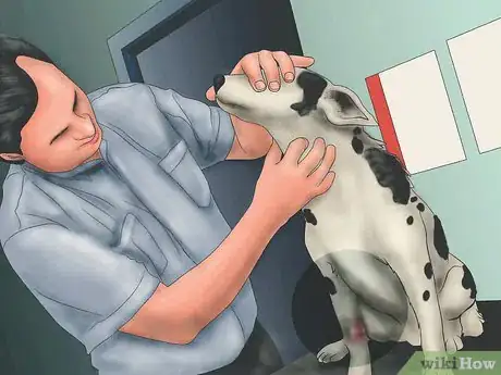 Image titled Splint a Dog's Leg Step 1