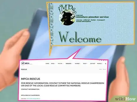 Image titled Choose a Minpin Step 12