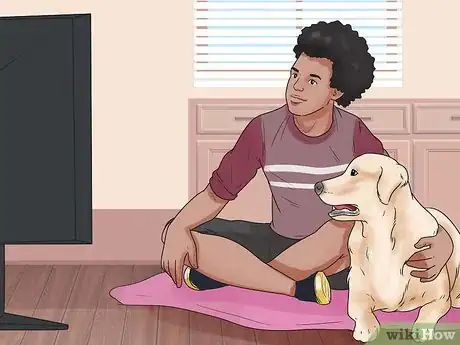 Image titled Become Your Dogs' Playmate Step 11