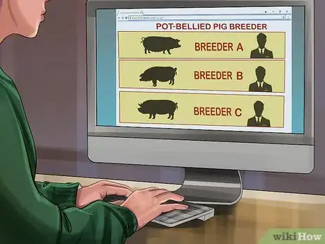 Image titled Have a Potbellied Pig for a Pet Step 3