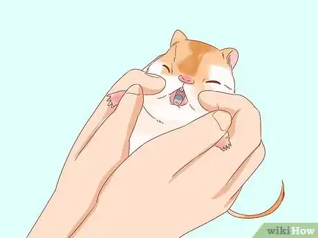 Image titled Diagnose Heart Failure in Gerbils Step 5