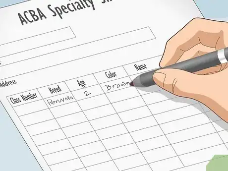 Image titled Prepare a Guinea Pig for Show Step 2