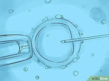 Image titled Increase Progesterone Levels Step 3