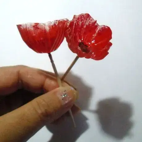 Image titled Tpf13_751.JPG