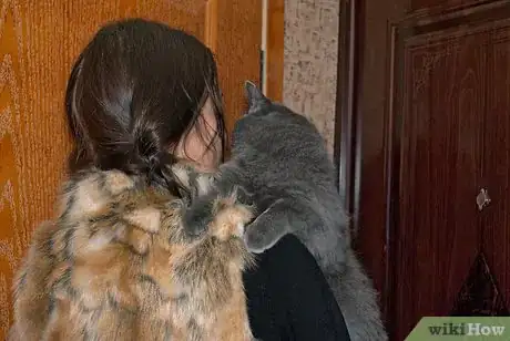 Image titled Get Along With Your Cat Step 9